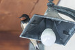 Swallow portrait on top of a lamp outside of a house. Close up view.
