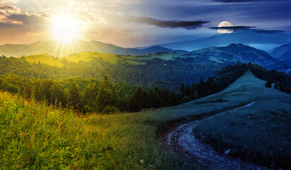 Wall Mural - dirt road to coniferous forest winding through the grassy meadow. mountain landscape with in morning