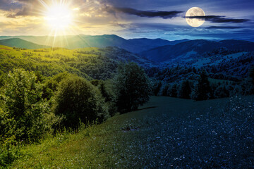 Wall Mural - mountain landscape in summertime with sun and moon at twilight. fir trees near meadow on hillside. d