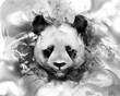 painted panda animal head in smoke