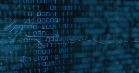 Poster - Animation of graphs, circuit board pattern and binary codes over black background