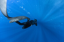 Freediver Swimming In Deep Sea With Sunrays.