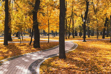 Canvas Print - Sunny autumn park