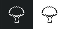 Sugar Maple Tree Icon Isolated In White And Black Colors. Sugar Maple Tree Outline Vector Icon From Nature Collection For Web, Mobile Apps And Ui.