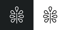 Pecan Leaf Icon Isolated In White And Black Colors. Pecan Leaf Outline Vector Icon From Nature Collection For Web, Mobile Apps And Ui.