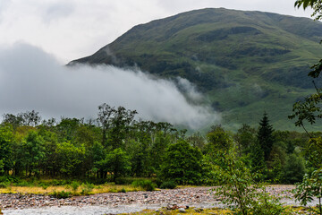 Wall Mural - Low cloud and mist over a forest with mountain backdrop (Glencoe, Scotland)