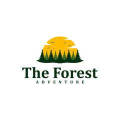 Wall Mural - Forest logo design Template. Creative Pine logo vector illustration.