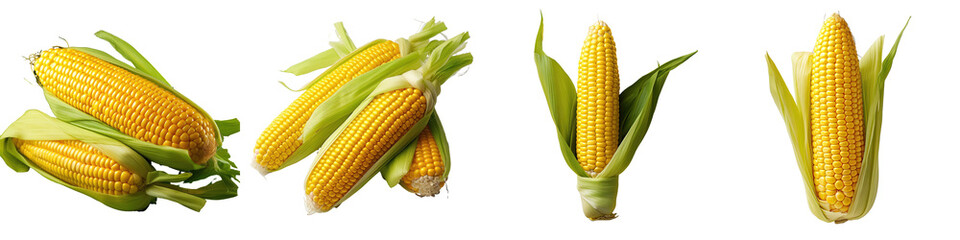 transparent background with isolated corn