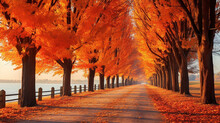 Autumnal Avenue Lined With Trees With Red Fall Foliage In Morning.