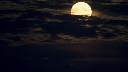 Wall Mural - Full Moon Rising behind Clouds Timelapse