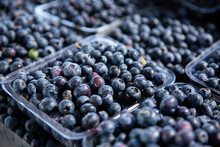 Close Up Of Punnet Of Blueberries For Sale