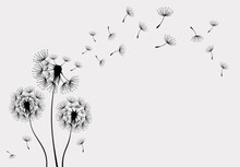 Vector Illustration Dandelion Seed Blowing In The Wind