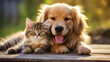Happy young Cat and dog pets together