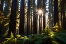 Magnificent And Towering Redwood Forest, With Sunlight Streaming Through The Dense Canopy - AI Generative