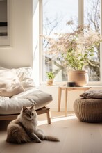 Warm White Living Room Interior With Fresh Plant, Dining Table With Flowers And Cat Sitting