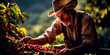 Colombian coffee farmer harvesting beans in a lush plantation, Agricultural life, Colombian culture