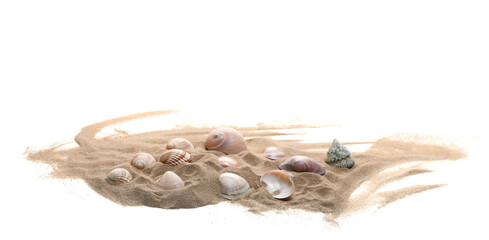 Sea shells in sand pile isolated on white background, side view