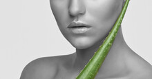 Portrait Of A Beautiful Brunette Woman With Green Aloe Vera Leaf, With Naked Shoulders, With Healthy Clean Skin And Fresh Make-up. Aesthetic Cosmetology And Makeup Concept.