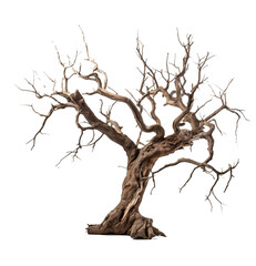 Wall Mural - Dead tree for Halloween project decoration on transparent background.