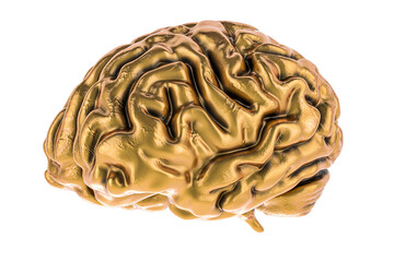 Poster - Golden Brain, side view. 3D rendering isolated on transparent background
