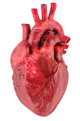Poster - human heart, organ with aorta and arteries, 3d rendering isolated on transparent background