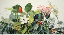 Collage Botanical Plants, Copy Space, 16:9
