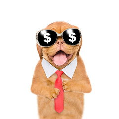 Poster - Funny dog wearing necktie and sunglasses with dollars sign looks at camera. Isolated on white background