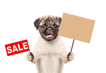 Aufkleber - Pug puppy holds signboard with labeled 