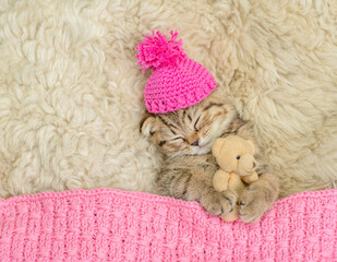 Poster - Cozy tiny fold tabby kitten wearing warm hat sleeps under warm plaid with favorite toy bear on the bed at home. Top down view. Empty space for text