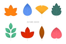 Various Fallen Leaves Set, Colorful Autumn Concept. Maple Tree Leaf. Fall Foliage Decoration, Seasonal Holiday Thanksgiving Greeting Card. Trendy Style Design Simple Flat Vector Isolated Illustration.