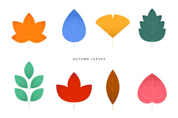 Various fallen leaves set, Colorful autumn concept. Maple tree leaf. Fall foliage decoration, Seasonal holiday thanksgiving greeting card. Trendy style design Simple flat vector isolated illustration.