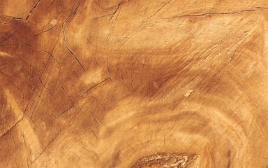 Wood texture with natural pattern. Soft wood texture background with copy space for design. top view