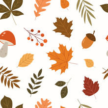 Seamless Pattern With Different Plants In The Autumn Season
