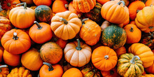 A Huge Number Of Colorful Pumpkins, Top View