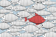 school of fish is the same and one red against the current - abstract society, ordinary, vision be different, unique personality or standing out from the crowd, leadership quality