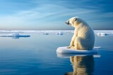 Fototapeta  - ours polaire seul sur iceberg à la dérive à cause du réchauffement climatique