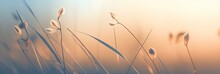 Beautiful Abstract Background Banner With A Close Up Of Dried Wild Grass In The Autumn Fields At Dawn. Generative AI