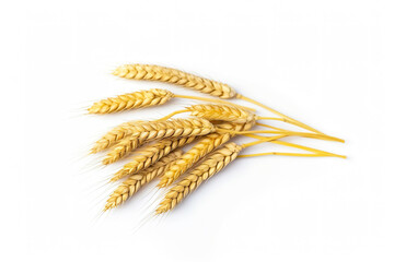 wheat ears isolated on white