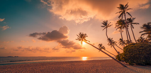 Canvas Print - Amazing nature landscape, sunset seascape coconut palm trees. Panoramic travel destination scenic. Best beach background. Exotic tropical coast, sand colorful sea sky. Sunlight rays paradise vacation