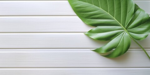 Wall Mural - Flat lay photo white wooden and green leaf around it, copy space background. Generative AI image weber.