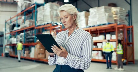 Canvas Print - Woman, warehouse and tablet for logistics, e commerce and stock inventory or industrial management. Professional supplier or manager on digital technology for factory, shipping boxes and package data