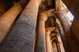 Fototapeta  - El templo de edfu es un antiguo templo egipcio ubicado en la orilla oeste de nile.