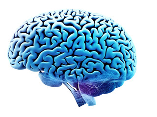 Poster - Human brain showing Intelligent thinking processing. Cyber mind concept a neural network of big data and artificial intelligence.
