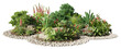 Cutout flowerbed. Plants and flowers isolated on transparent background. Flower bed for garden design. Rock landscaping among the flowering bush.	
