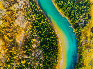 Wall Mural - fall landscape. a drone view of the river in the woods. an aerial view of an autumn forest. winding 