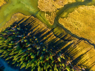 Wall Mural - fall landscape. a drone view of the river in the woods. an aerial view of an autumn forest. winding 