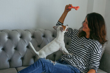 Wall Mural - Mid adult woman playing with her funny looking Jack Russell Terrier puppy, using a rubber bone, a chewing toy. Close up, copy space, background.