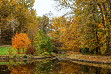 Wall Mural - View of beautiful autumn park with lake and trees