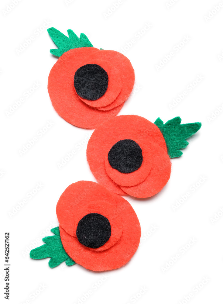 Red poppy flowers isolated on white background. Remembrance Day in Canada