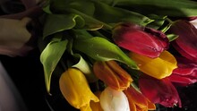 A Florist Creates A Bouquet Of Spring Flowers, Colorful Tulips With Water Droplets Turn Close-up. Green, Red, Orange, White. A Gift For Women's Day, March 8, Mother's Day, Birthday